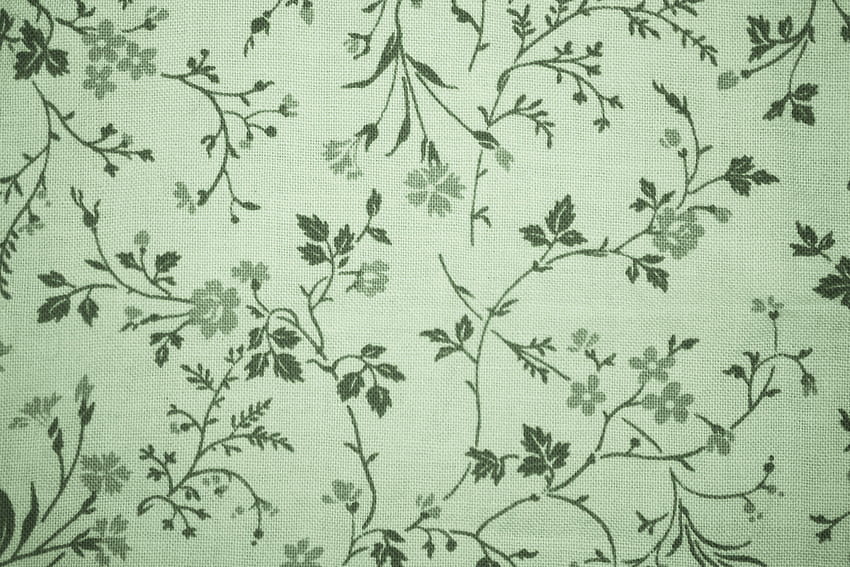 Sage Green diposting oleh Ryan Simpson, laptop hijau estetika Wallpaper HD