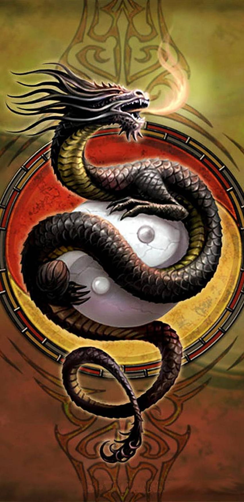 Ying Yang Dragon by NikkiFrohloff, dragon yin yang nice iphone HD phone wallpaper