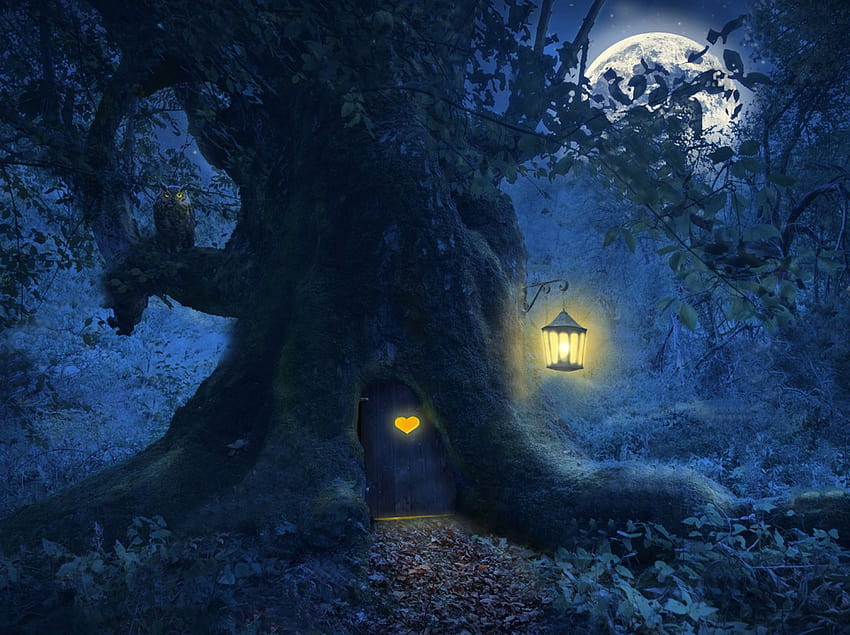 Magical Forest,Full moon,Nursery,Self Adhesive,Vinyl, magic winter moon HD wallpaper
