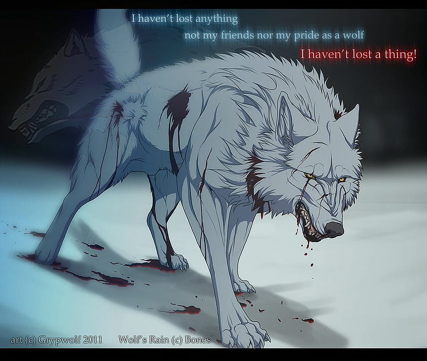 Tumblr, sad anime wolf HD wallpaper | Pxfuel