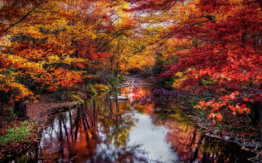 природа, пейзаж, река, листа, цветни, дървета, есен, отражение на есенните цветове HD тапет