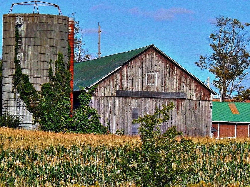 Farms, rural scene HD wallpaper | Pxfuel
