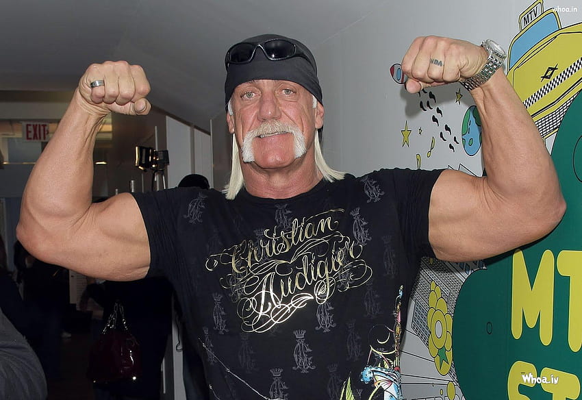 WWE Legend Hulk Hogan Body Shapes HD wallpaper