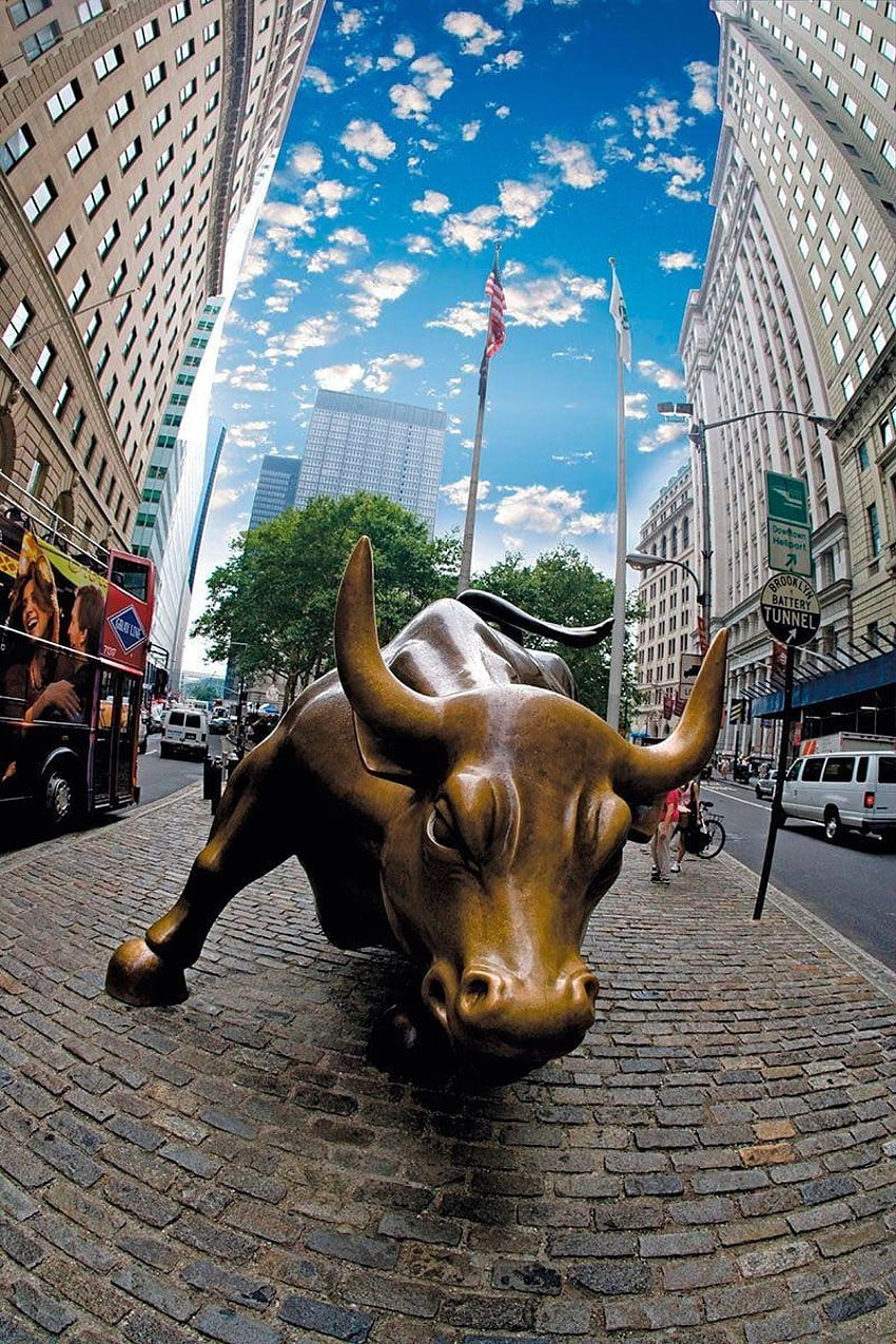 Wall Street Bull Iphone HD phone wallpaper