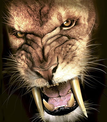 The Sabertooth Cat Also Called Smilodon With Dagger Like Front Canine Teeth  High-Res Vector Graphic - Getty Images