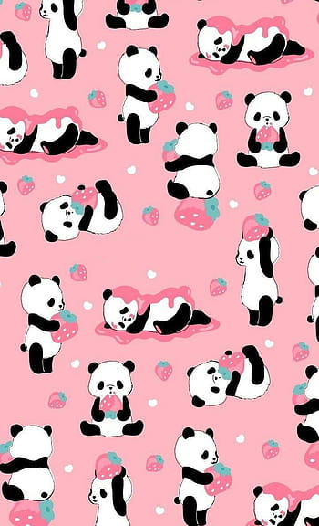 HD sweet panda wallpapers | Peakpx