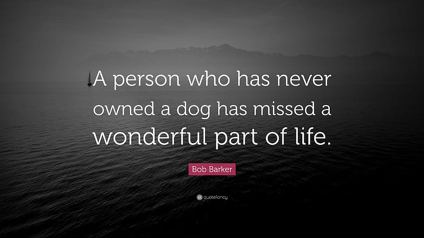 Bob Barker Quote: “A person who has never owned a dog has missed a wonderful part of life.” HD wallpaper