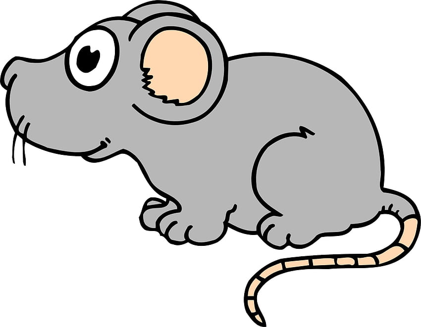 Of Cartoon Mice, Clip Art, Clip Art on Clipart Library, cartoon rat HD  wallpaper | Pxfuel