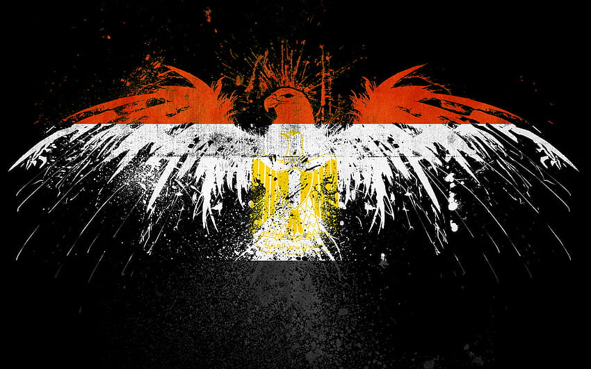 Egypt Flag Backgrounds, flag of egypt HD wallpaper