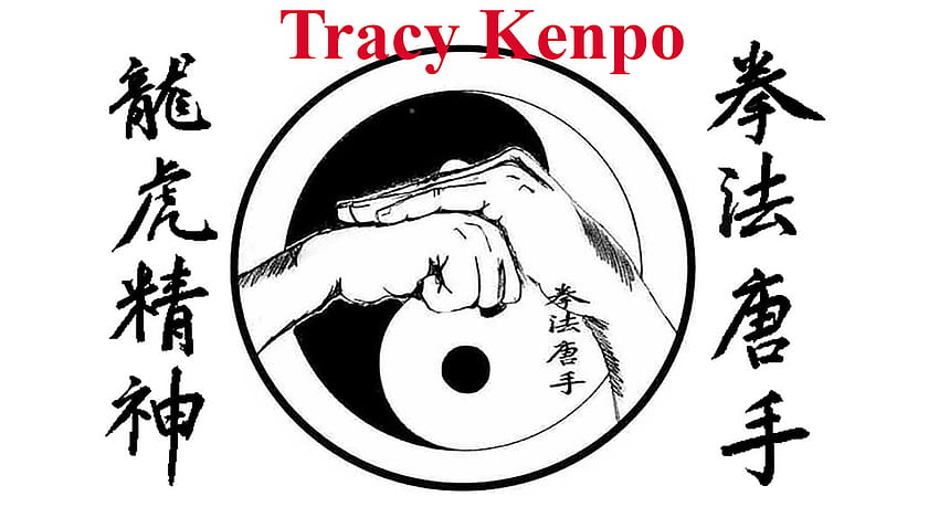 Watch Tracy Kenpo Orange Belt HD wallpaper