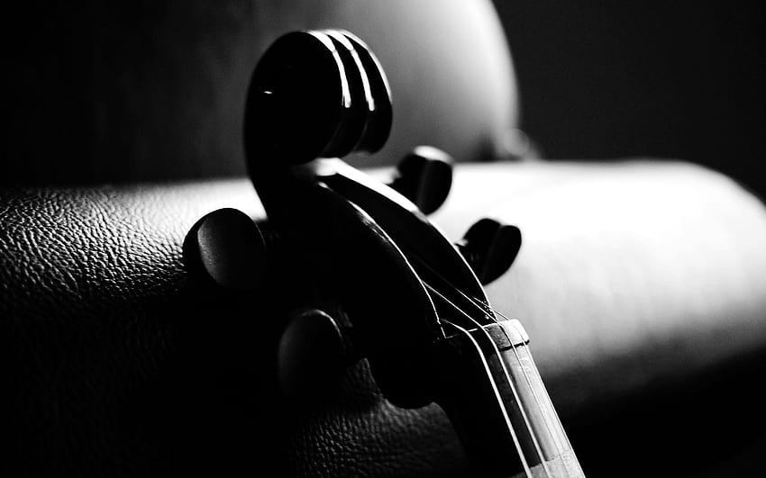 Violin Is An Instrument 8715 HD wallpaper
