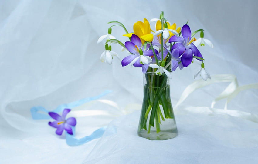 flowers, tenderness, beauty, plants, spring, snowdrops, primrose bouquet HD wallpaper