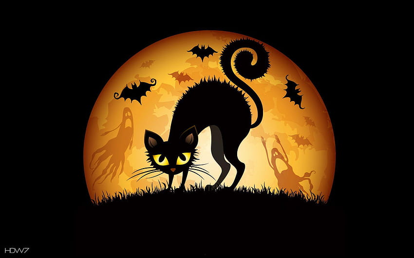 halloween cat bat HD wallpaper