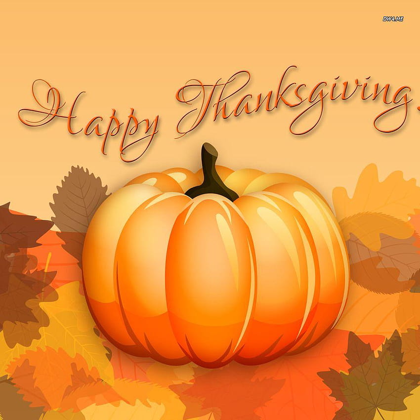 Happy Thanksgiving, Thanksgiving Day Kürbis HD-Handy-Hintergrundbild