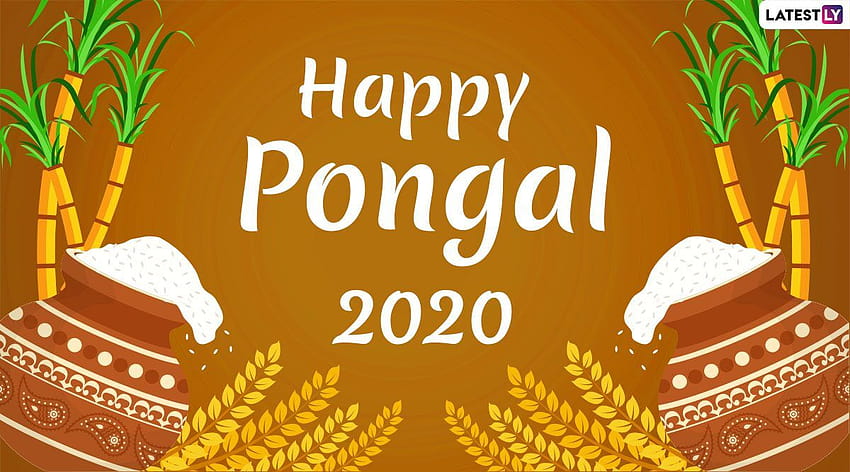 Feliz Pongal 2020 e online: Wish Thai Pongal com estas lindas saudações GIF, mensagens e adesivos do WhatsApp papel de parede HD