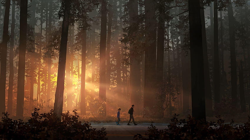 Life is Strange 2's Newest Trailer Teases Episode 3: Wasteland, Life is Strange 2 episode 3 HD 월페이퍼