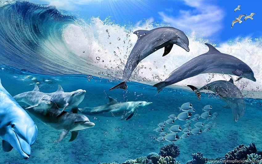 6 delfines en movimiento, delfines abstractos fondo de pantalla