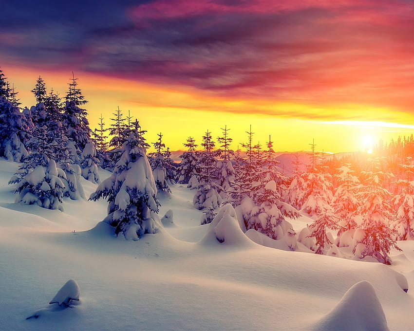 Sunset, snow, trees, winter, red sky, clouds 3840x2160 U , sunsets ...