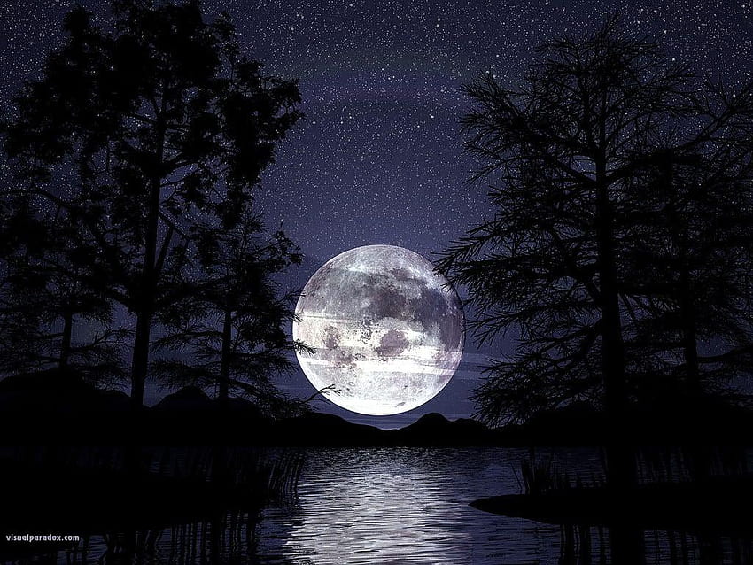 1024x768px Luna, foresta oscura con luna Sfondo HD