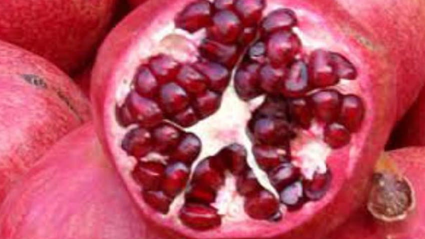 10 Different Types of Pomegranate with, aril HD wallpaper
