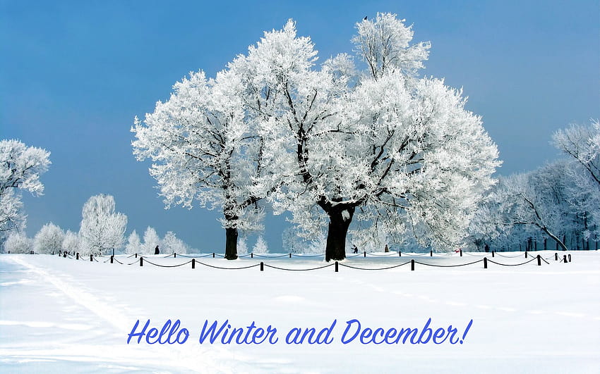 Hello December, goodbye winter HD wallpaper