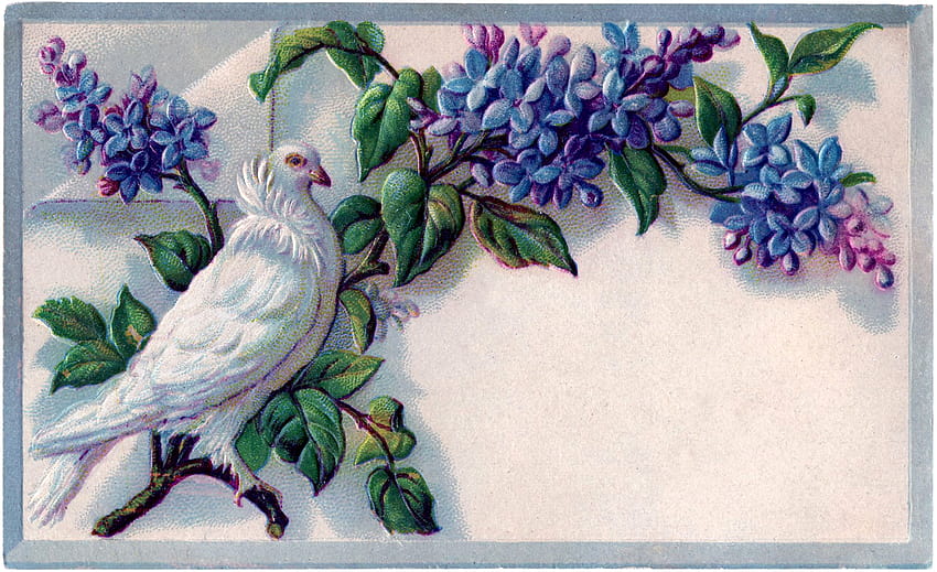 8 Clip Art Lilacs!, little bird and lilacs HD wallpaper