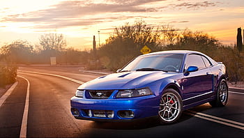 mustang cobra terminator wallpaper