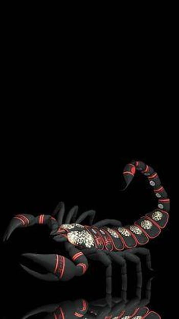 Scorpion Wallpapers:Amazon.com:Appstore for Android