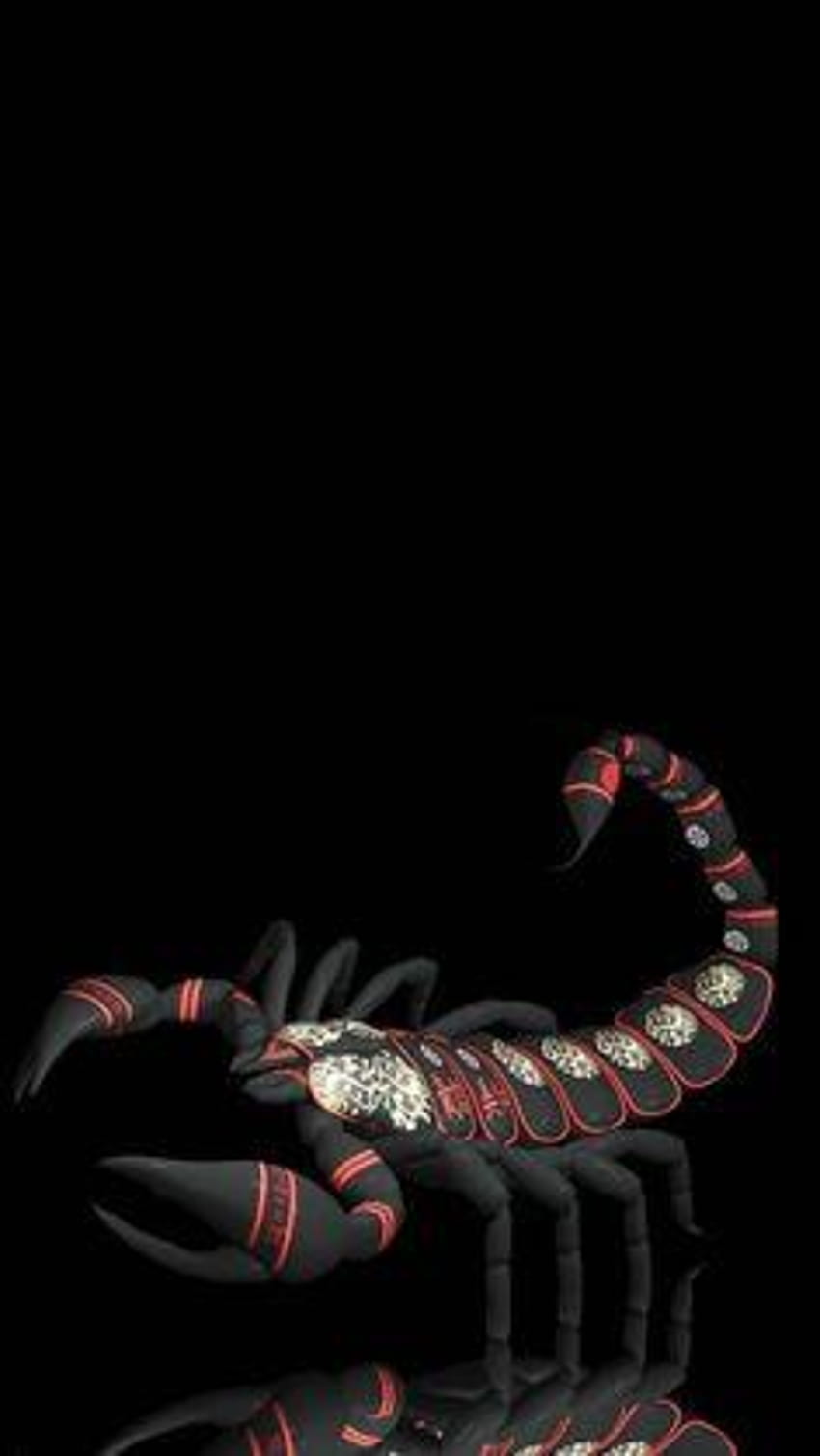 78 Best Scorpion, black scorpio mobile HD phone wallpaper