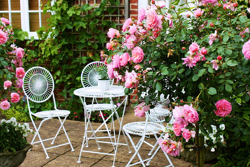 pink, veranda, table, chairs, blossoms, roses :: HD wallpaper