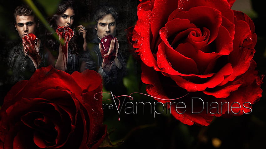 Vampire Blood Horror Halloween Flower Rose Fan Art HD wallpaper