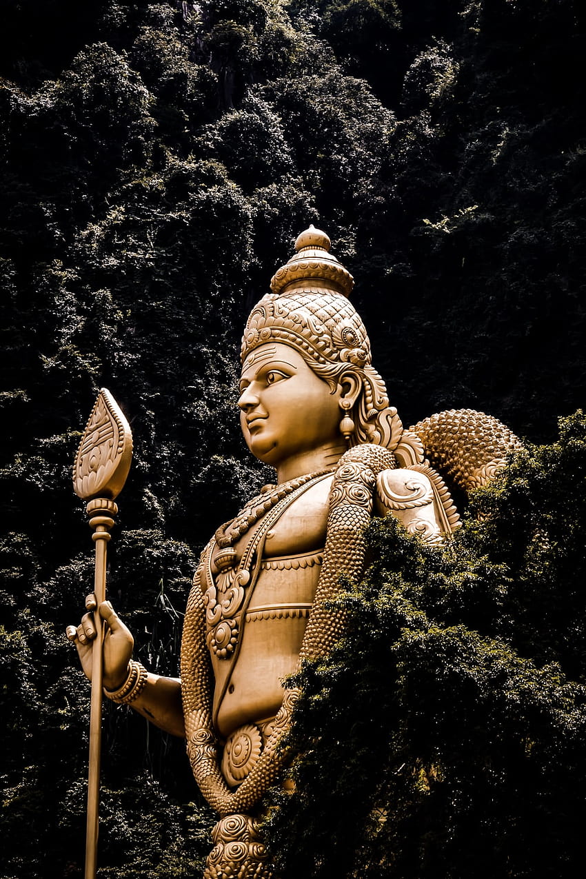 Muruga Homam | Lord murugan wallpapers, Lord murugan, Subramanya swamy  images hd