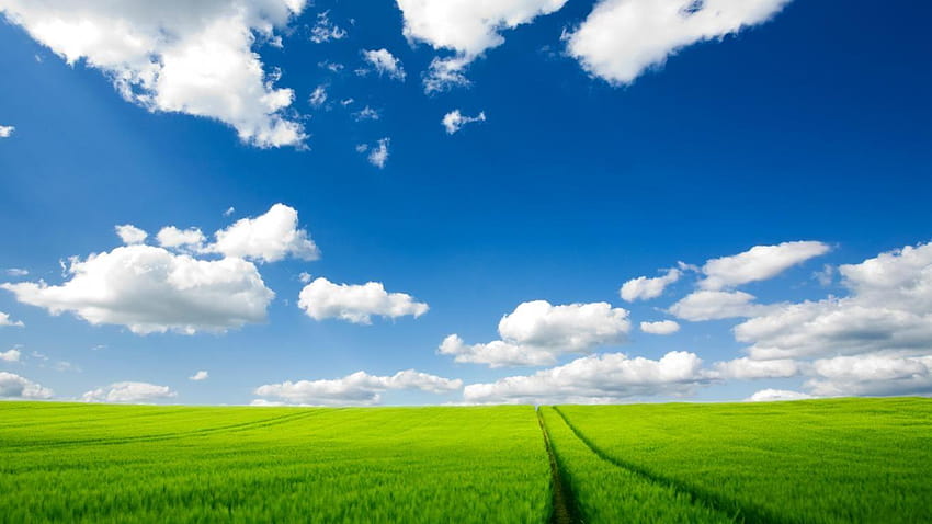 Grass Nature Sky Clouds Field Backgrounds, summer afternoon farm HD wallpaper