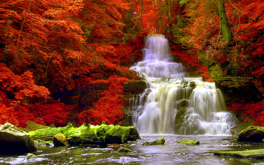Autumn forest waterfalls 156347 High Quality and Resolution [4280x2675 ...