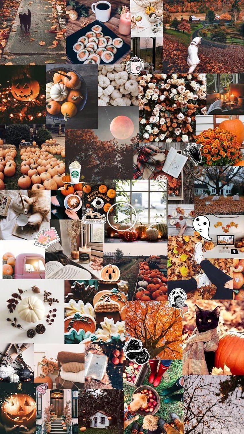 Latar Belakang Estetika Musim Gugur / Halloween, kolase halloween yang rapi wallpaper ponsel HD