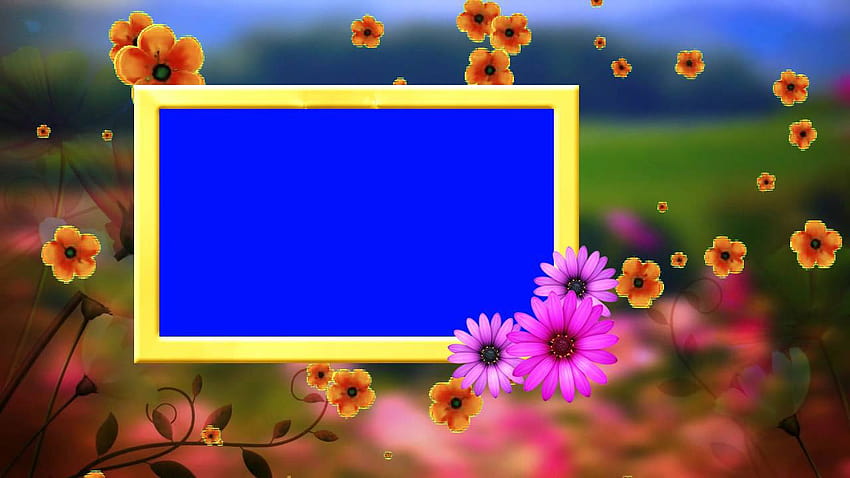 Wedding Frame Blue Backgrounds & Fallen Flowers Animated Video HD wallpaper