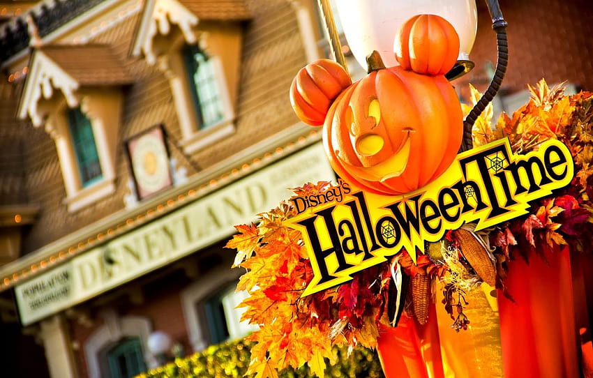 leaves, decoration, house, corn, pumpkin, house, halloween house decoration HD wallpaper