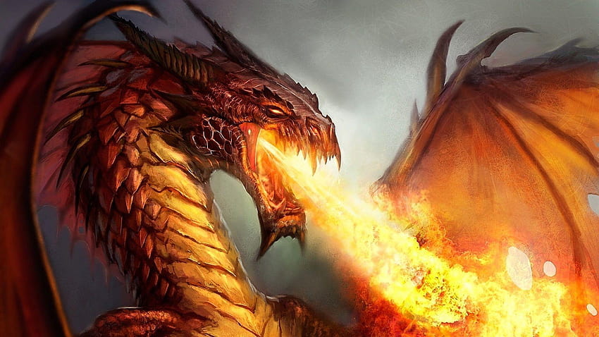 Dragon de feu, dragon cracheur de feu Fond d'écran HD