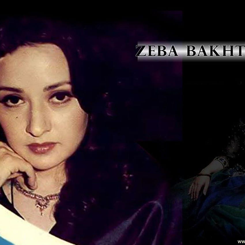 Zeba Bakhtiar HD phone wallpaper