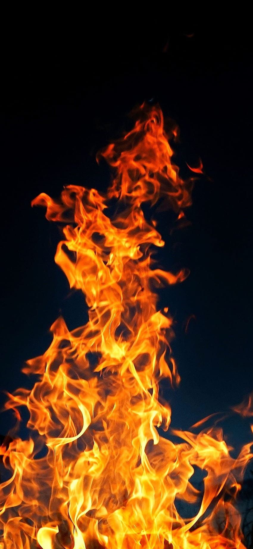 100 sfondi di fuoco fresco questo mese, fiamme estetiche Sfondo del telefono HD