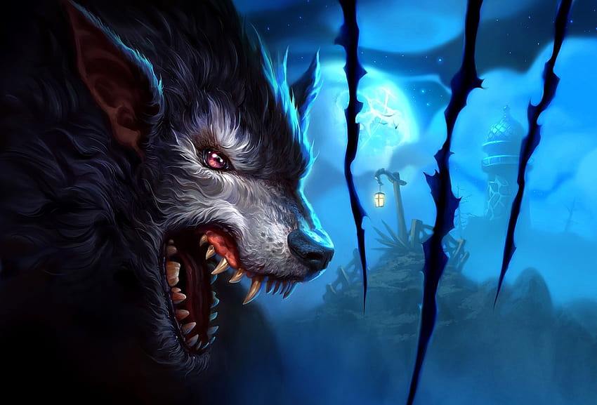 Wolf 3d posté par Christopher Sellers, loup dangereux Fond d'écran HD