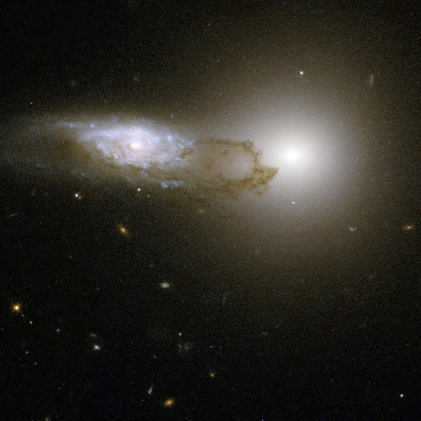 AM 1316, elliptical galaxy HD phone wallpaper