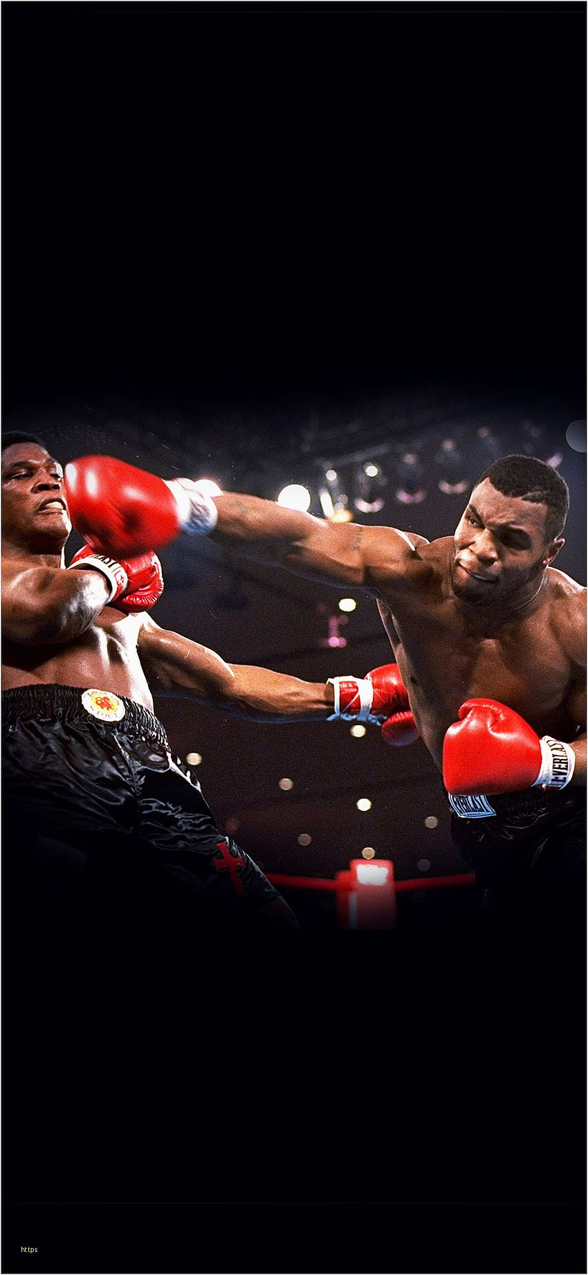 Mike Tyson Elegant Boxing 78 Backgrounds, ponsel mike tyson wallpaper ponsel HD