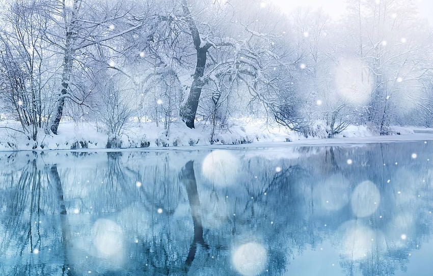 winter, trees, landscape, tale, snowfall, Winter, anime winter wonderland HD wallpaper