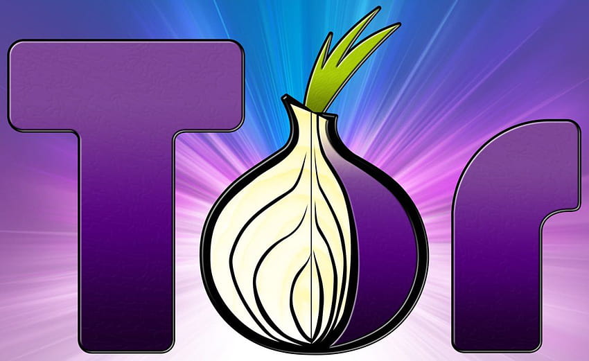 Tor posted by Ryan Walkercute, tor browser HD wallpaper