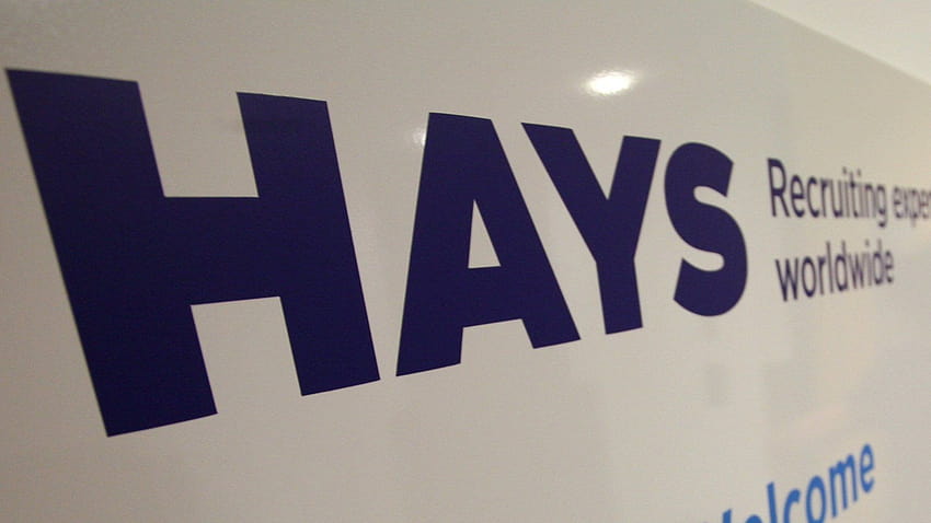 Hays issues first special dividend despite Brexit, hannah hays HD wallpaper