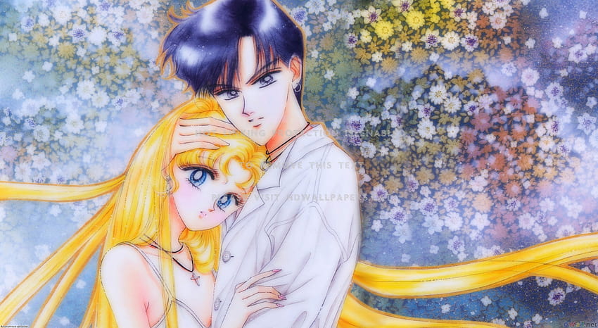 Sailor Moon und Smokingmaske Carmenmbollina, Sailor Moon Darien HD-Hintergrundbild