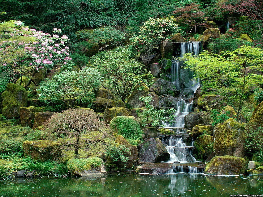 Portland Japanese Garden HD wallpaper | Pxfuel