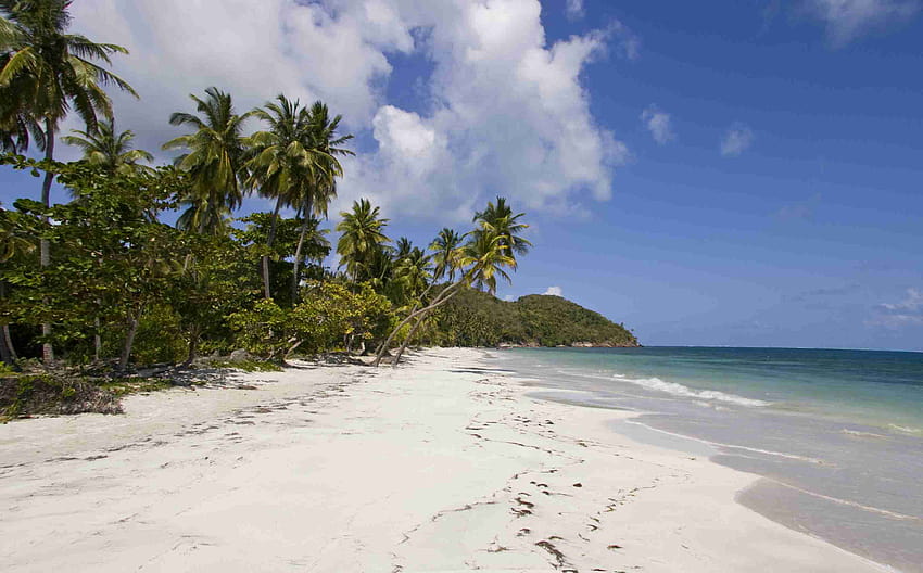 7 Caribbean Islands You've Never Heard Of, navassa island HD wallpaper