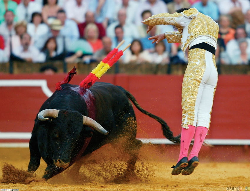 Bullfighter and bull 11575 Open Walls [1600x1219] for your , Mobile & Tablet HD wallpaper